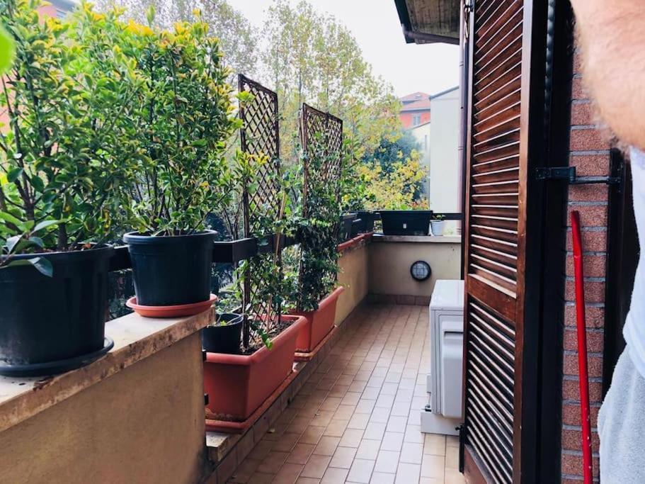 Ketty House B&B - Policlinico Di Monza, U-Power Stadium Bagian luar foto