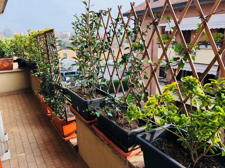 Ketty House B&B - Policlinico Di Monza, U-Power Stadium Bagian luar foto